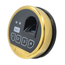 Load image into Gallery viewer, Fingerprint Safe Lock Biometric Gold Keypad Swingbolt Lock With 2 Override Keys
